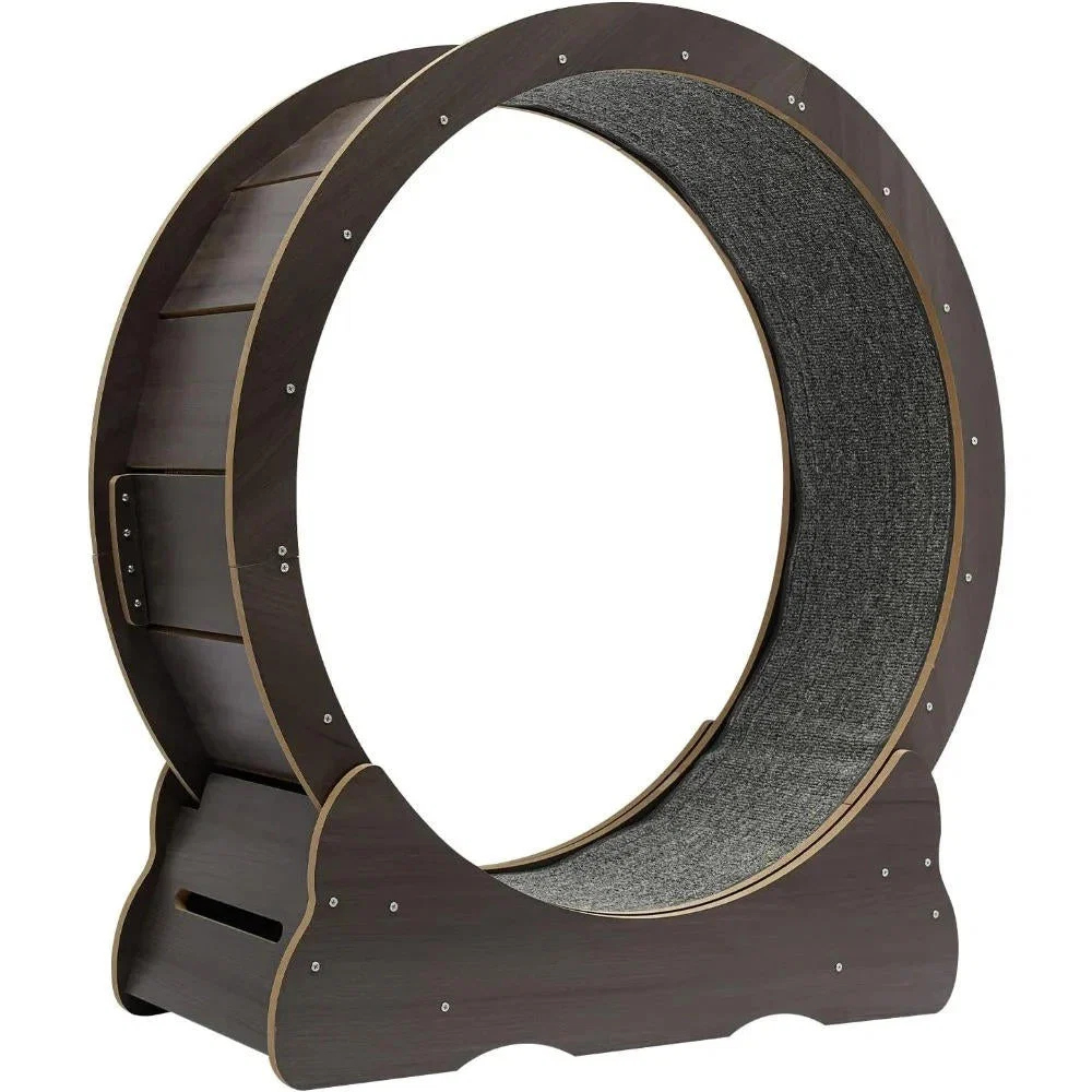 cat-exercise-wheel-41192530_6.jpg