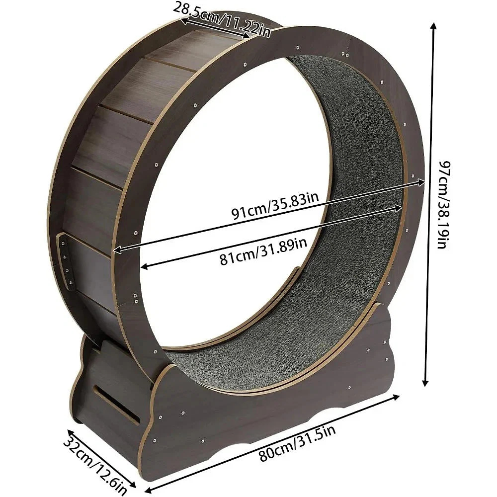 cat-exercise-wheel-41192530_7.jpg