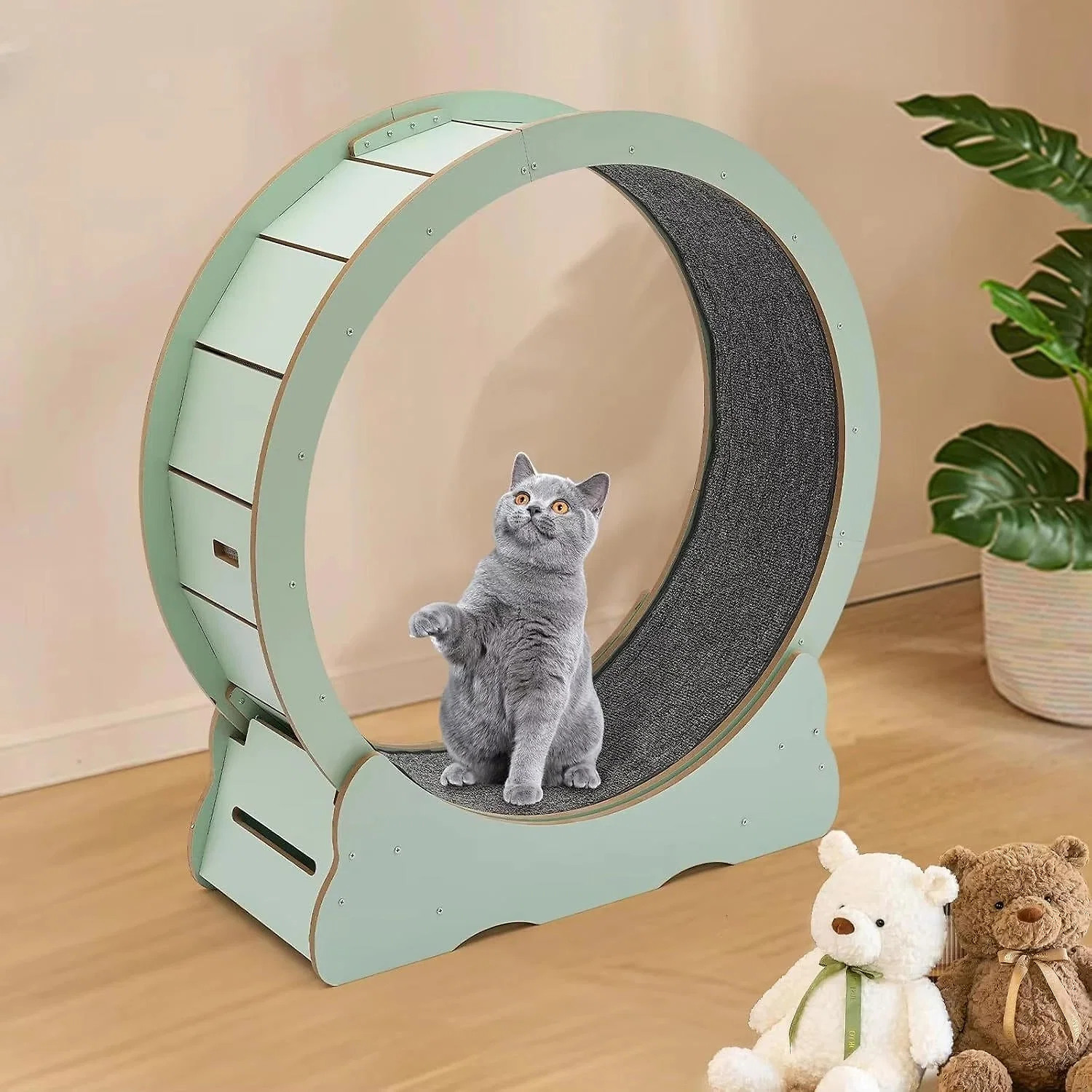cat-exercise-wheel-41192530_2.jpg