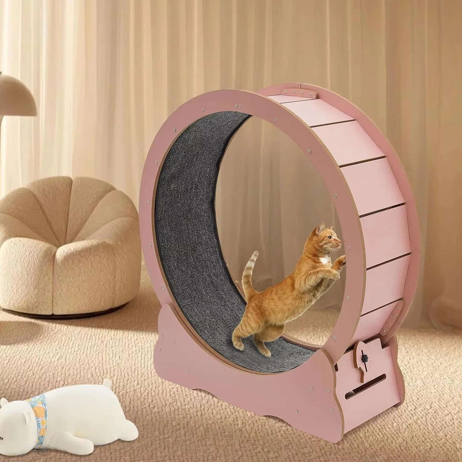 cat-exercise-wheel-41192530_5.jpg